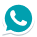 Icono Whatsapp